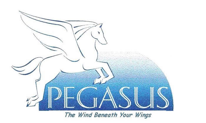 [Advocacy by Pegasus LLC · The Wind Beneath Your Wings ]